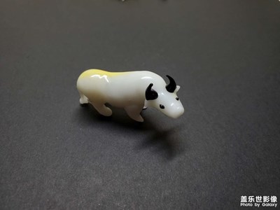 【印象】+十二生肖