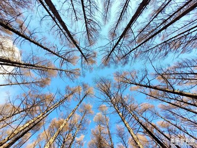 【難忘2021】+人工林海