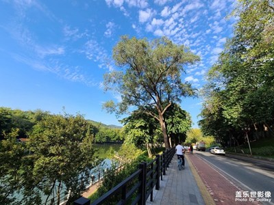 【難忘2021】+那些旅途