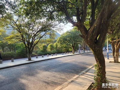 【難忘2021】

清晨