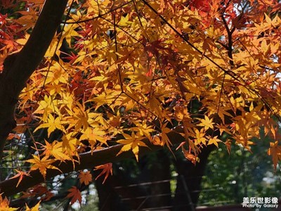 周末來一場說走就走的散步