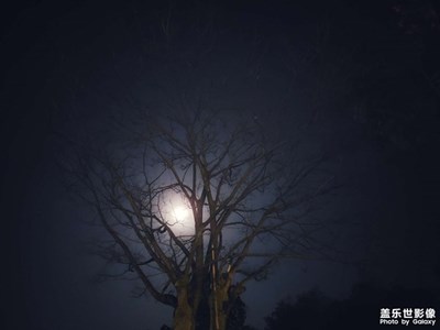 此時(shí)無聲勝了有聲