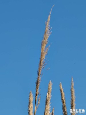 【難忘2021】最美瞬間