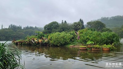老梁光影——煙雨仙湖