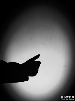 【光影瞬間】+手影游戲