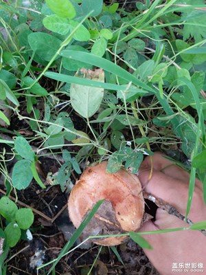 我路過的風(fēng)景不一樣