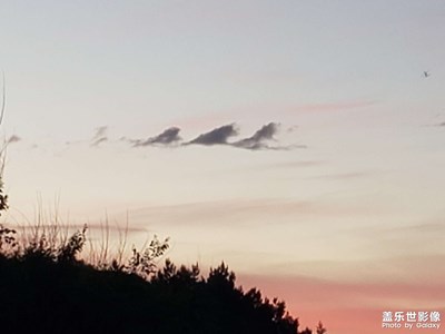 感覺到了拍什么都好看