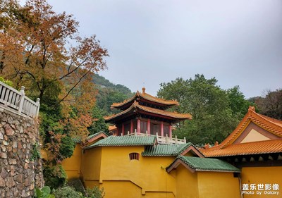 三星note10+5g拍照——廣東的秋色