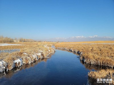 今日照片   達(dá)坂城冷水魚(yú)場(chǎng)