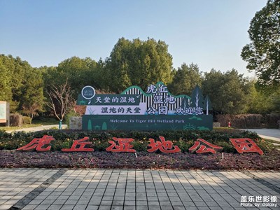 虎丘濕地，大美初冬