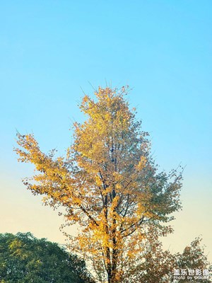 轉(zhuǎn)秋入冬