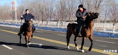 今日照片   還在南山