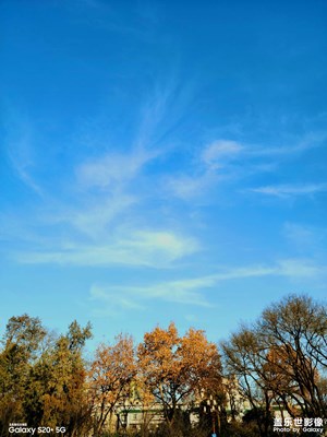 期盼疫情早日結(jié)束 