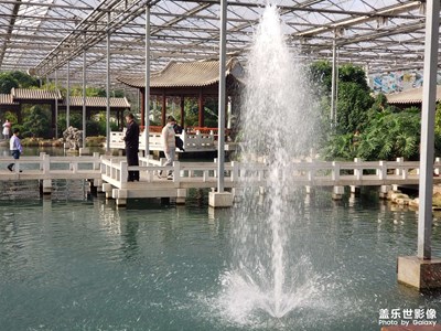 【新年隨拍】周末游