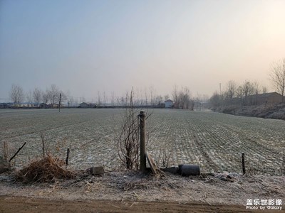 我的家，凍死我