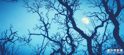 夜宿洼村之日月星辰