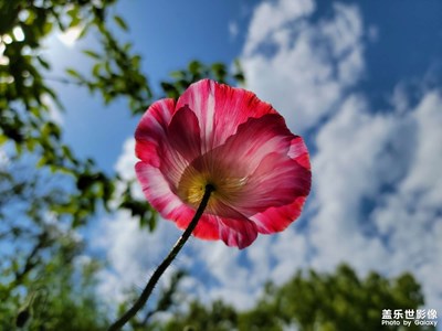 【色彩】+五彩繽紛