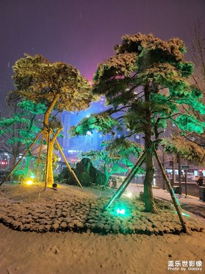 鄭州的第一場雪