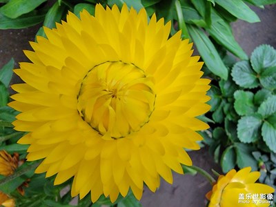 走過(guò)路過(guò)，拍才知道