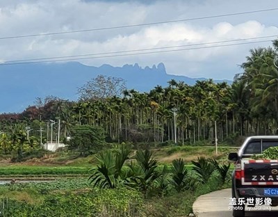 遠眺海南保亭七仙嶺