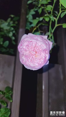 【發(fā)現(xiàn)之美】+縣城一角