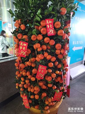 啥都不說，祝大家大吉大利。