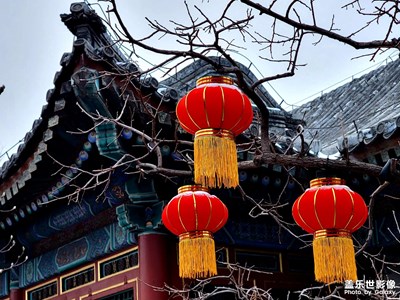 【中國年】紅燈籠