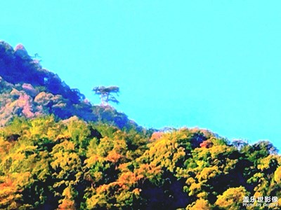 無(wú)限風(fēng)光在險(xiǎn)峰