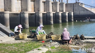 一年又一年！好景常在！
