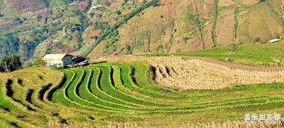 米易縣新山梯田