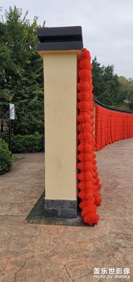 【家鄉(xiāng)年味】三星10＋隨手拍之紅燈籠