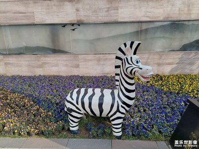 生活原來如此可愛