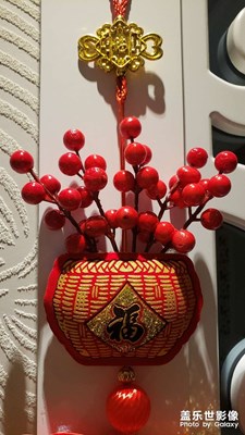 【中國年】+紅紅火火過新年