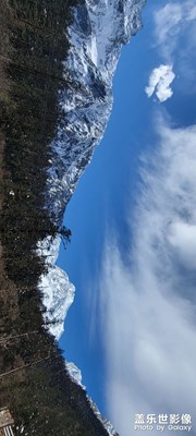 海螺溝森林公園