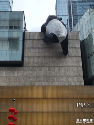 【家鄉(xiāng)年味】大年初二成都