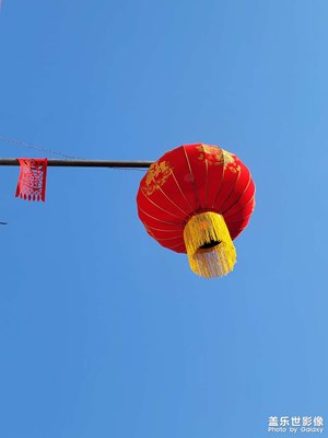 【家鄉(xiāng)年味】大紅燈籠高高掛