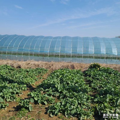 立春后的農(nóng)田