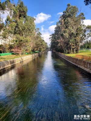 Note10+的影像效果還是不錯的