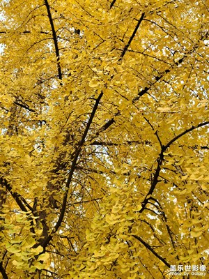 足記＋漫步隨拍