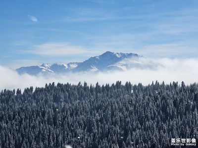 今天照片    烏魯木齊菊花臺