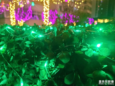 [Galaxy S20 FE]觀燈