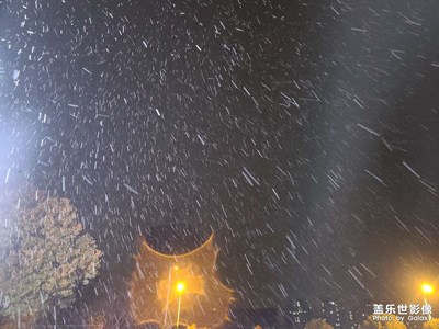 又見(jiàn)雪飄過(guò)