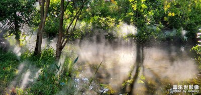 【身邊的美好】漫步海珠濕地公園