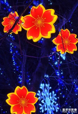 【家鄉(xiāng)年味】+鐵嶺市彩燈