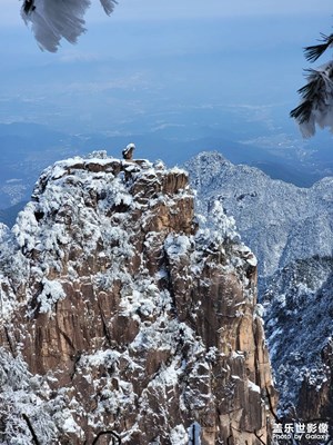 黃山奇石 猴子觀海