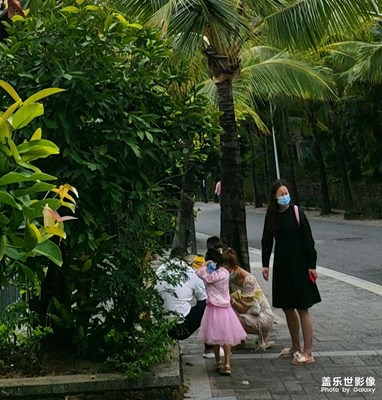 今日三亞隨手拍