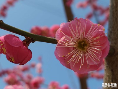 春回大地 萬物復蘇