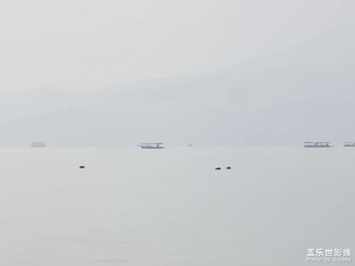 春花 霧 西湖
