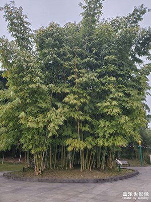 【場(chǎng)景小拍】+溫暖的春天