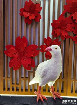 【場(chǎng)景小拍】+總布胡同